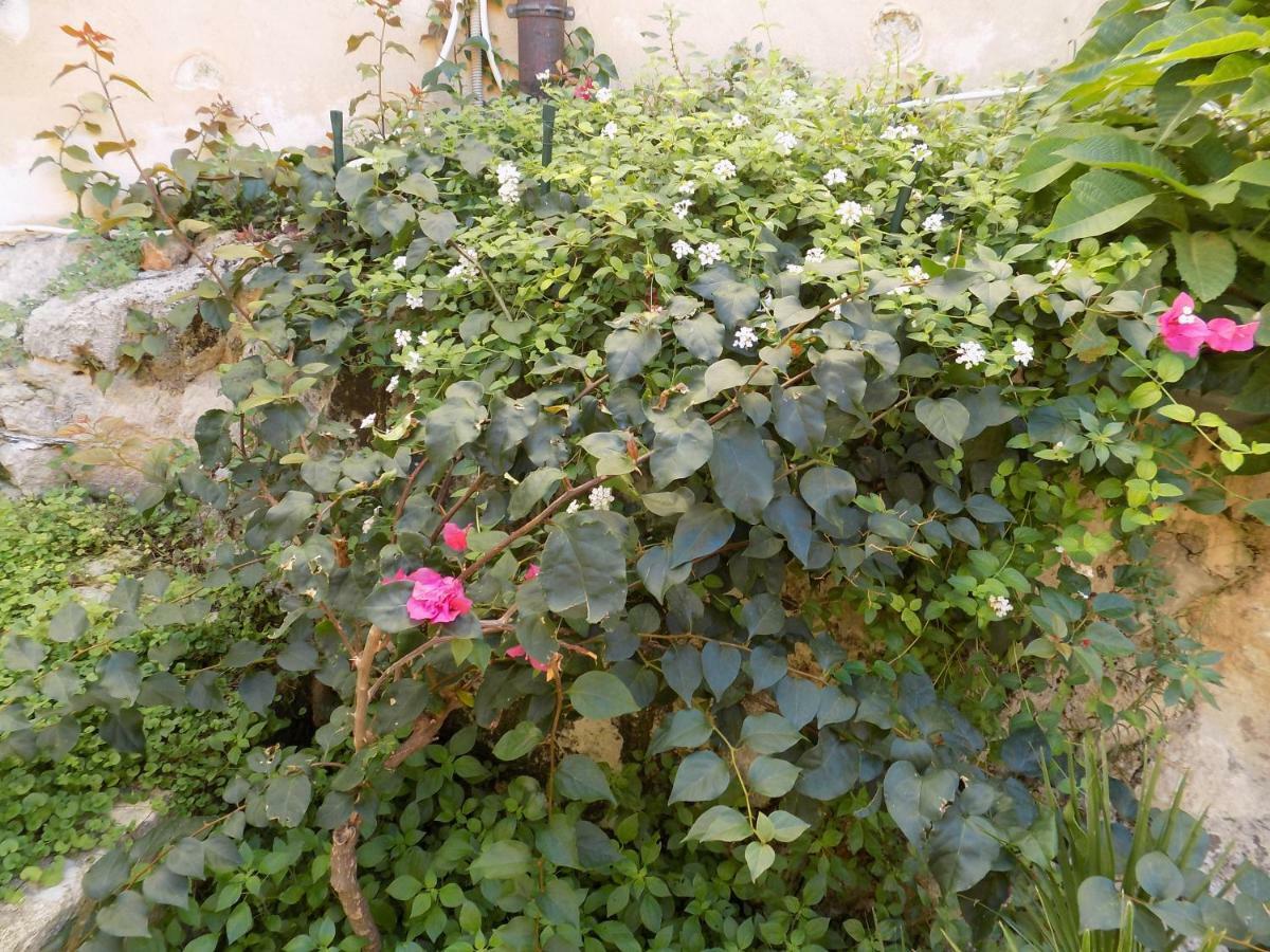 Garden&House Amore Vero モーディカ エクステリア 写真